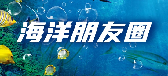 海洋朋友圈