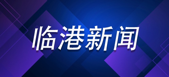 临港新闻