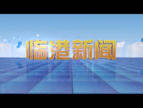 临港新闻2023-11-17