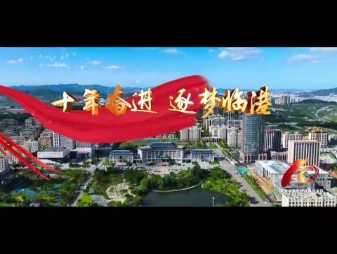 专题片展播 | 十年奋进 逐梦临港