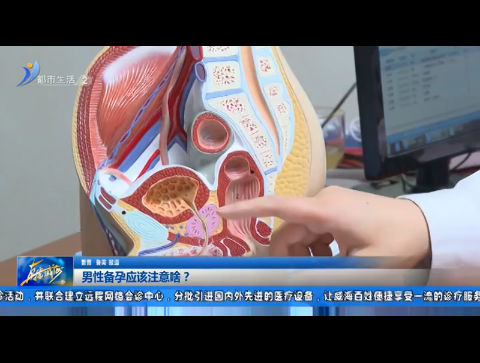 男性备孕应该注意啥？【威海广电讯】