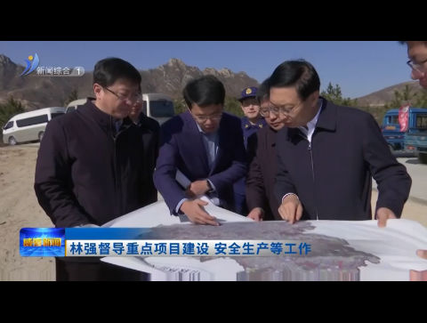 林强督导重点项目建设 安全生产等工作【威海广电讯】