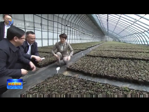 孔凡萍调研督导环保督察反馈问题整改和乡村产业振兴工作【威海广电讯】