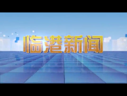 临港新闻2024-10-19