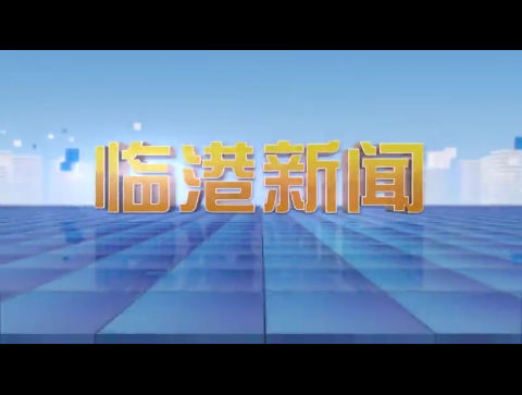 临港新闻2024-12-29