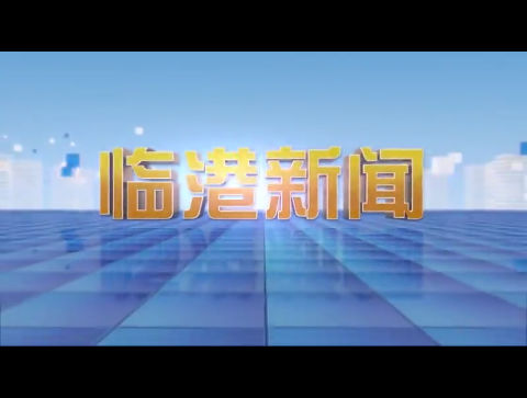 临港新闻2024-12-14