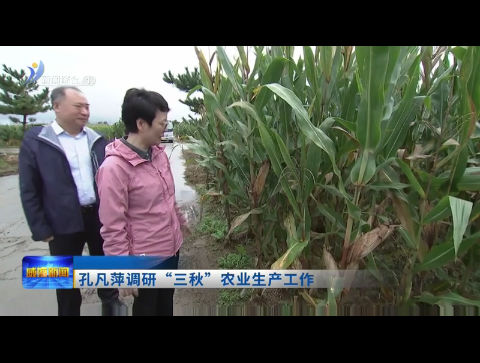 孔凡萍调研“三秋”农业生产工作