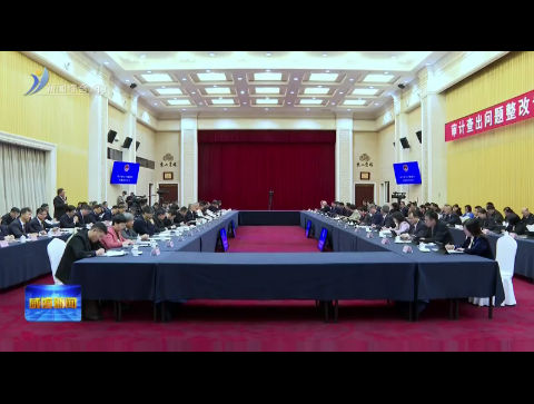 市人大常委会开展审计查出问题整改专题询问